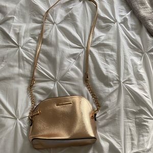 Steve Madden Purse